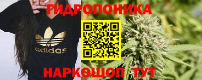 индика Тара